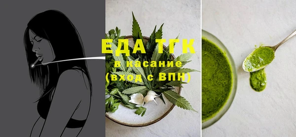хмурый Алексин