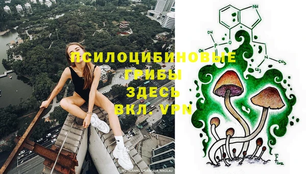 mix Абаза
